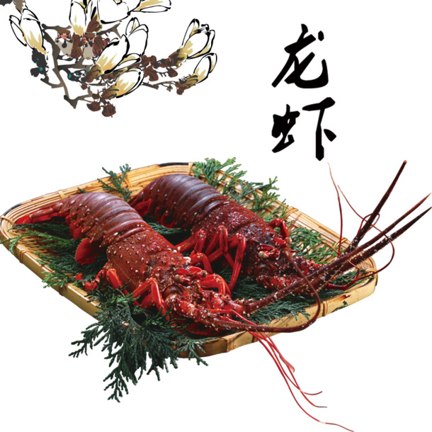 高清龙虾PNG透明图，装饰元素动物PSD素材下载