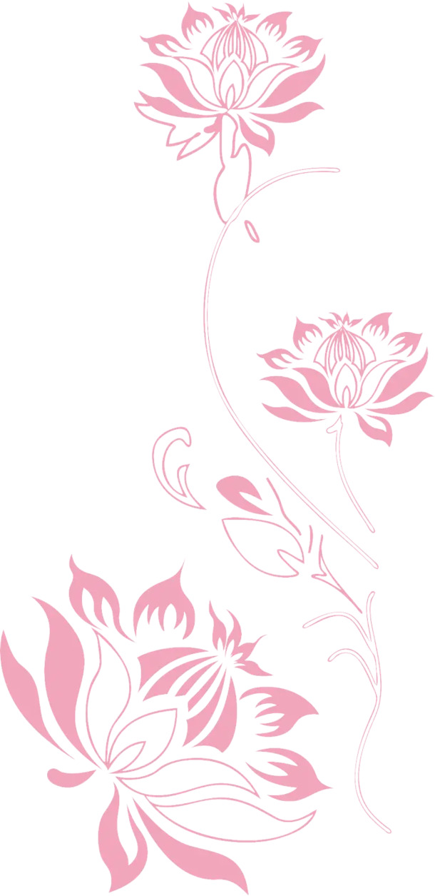 红色莲花高清PNG透明图案，精美装饰花纹，设计素材免费下载