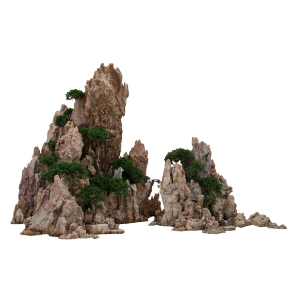 景观设计PNG透明图，植物元素高清素材，一键下载装饰你的设计