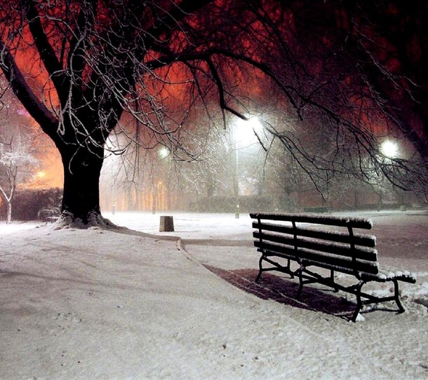 高清PNG透明图片，雪地夜晚大树座椅海报背景，摄影风景素材下载
