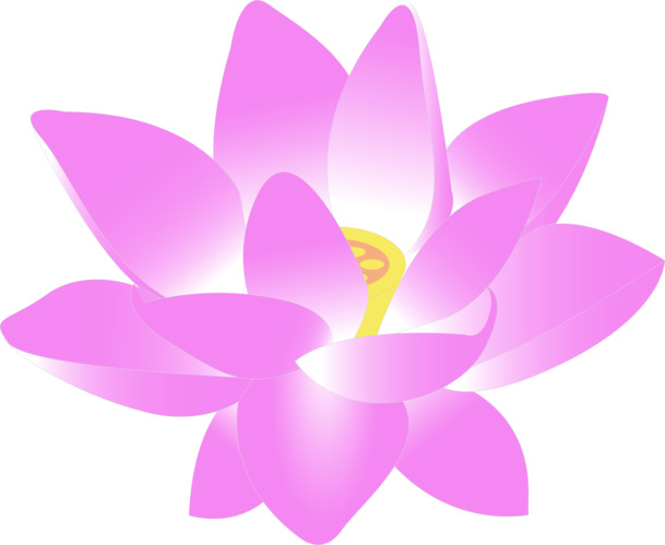 粉色浪漫卡通水仙花PNG透明图，高清装饰元素，动物图片设计素材下载