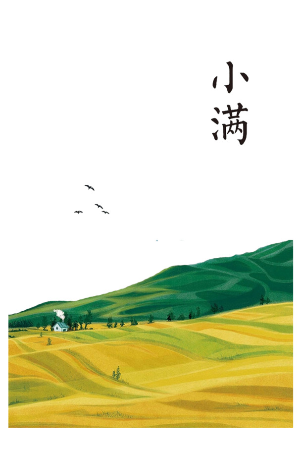 小满节气高清PNG素材，透明免扣元素，助力创意设计下载
