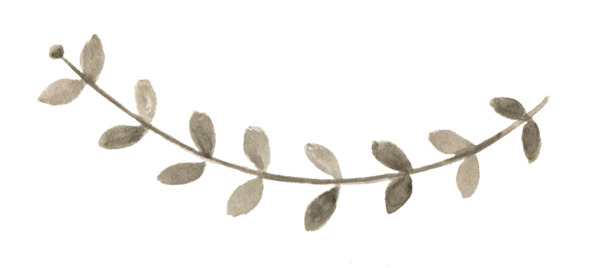 手绘藤蔓PNG透明图，动植物元素高清素材，免费下载