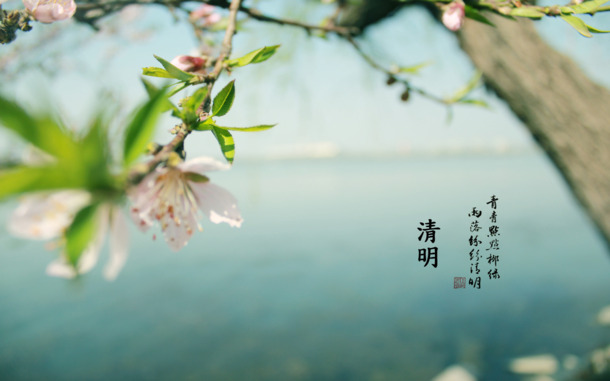 清明时节青团香，四月春色海报背景，高清PNG透明元素，PSD格式设计素材下载