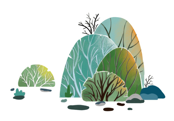 绿色圆形植物插画，高清PNG透明图，手绘卡通元素，免费下载