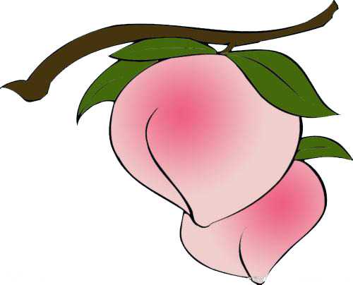 叶子漫画桃子PNG透明图，动植物元素，高清植物设计素材下载