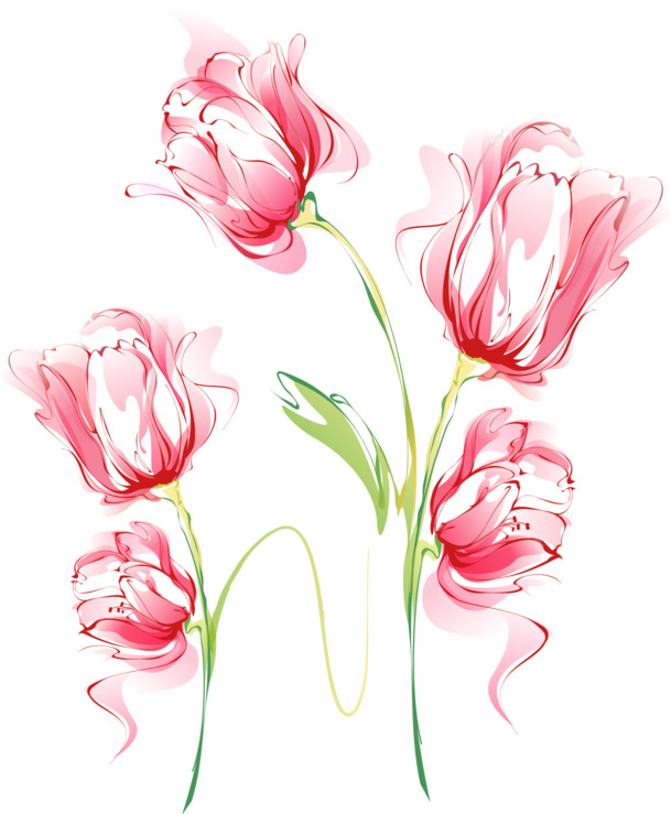矢量手绘康乃馨水彩画，高清PNG透明素材，AI格式设计元素免费下载