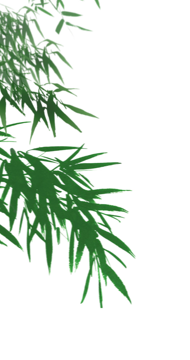 端午节竹叶高清PNG透明图片，漂浮元素设计素材，免费下载