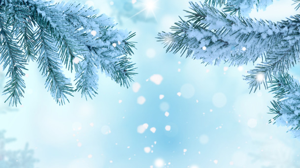 寒冬雪景PNG透明背景图，高清节日设计素材免费下载