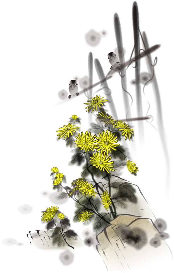 高清黄色菊花PNG透明图，装饰元素+笔触墨迹，设计素材下载