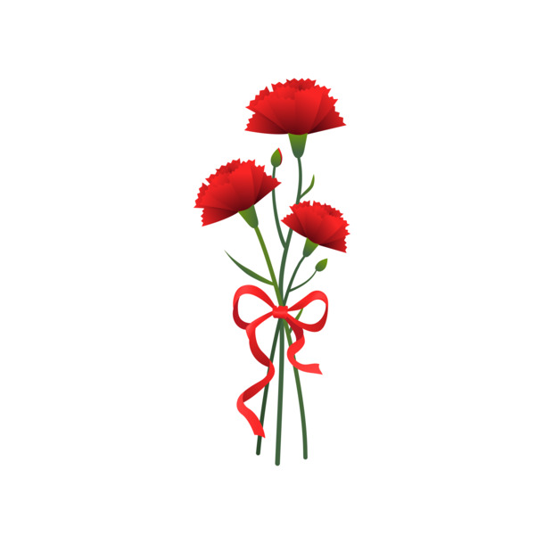 母亲节康乃馨PNG透明图片，高清花朵设计素材，妇女节节日元素免费下载