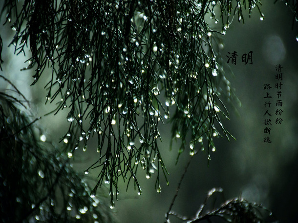清明缅怀，思亲情深，透明PNG背景图，PSD格式素材免费下载
