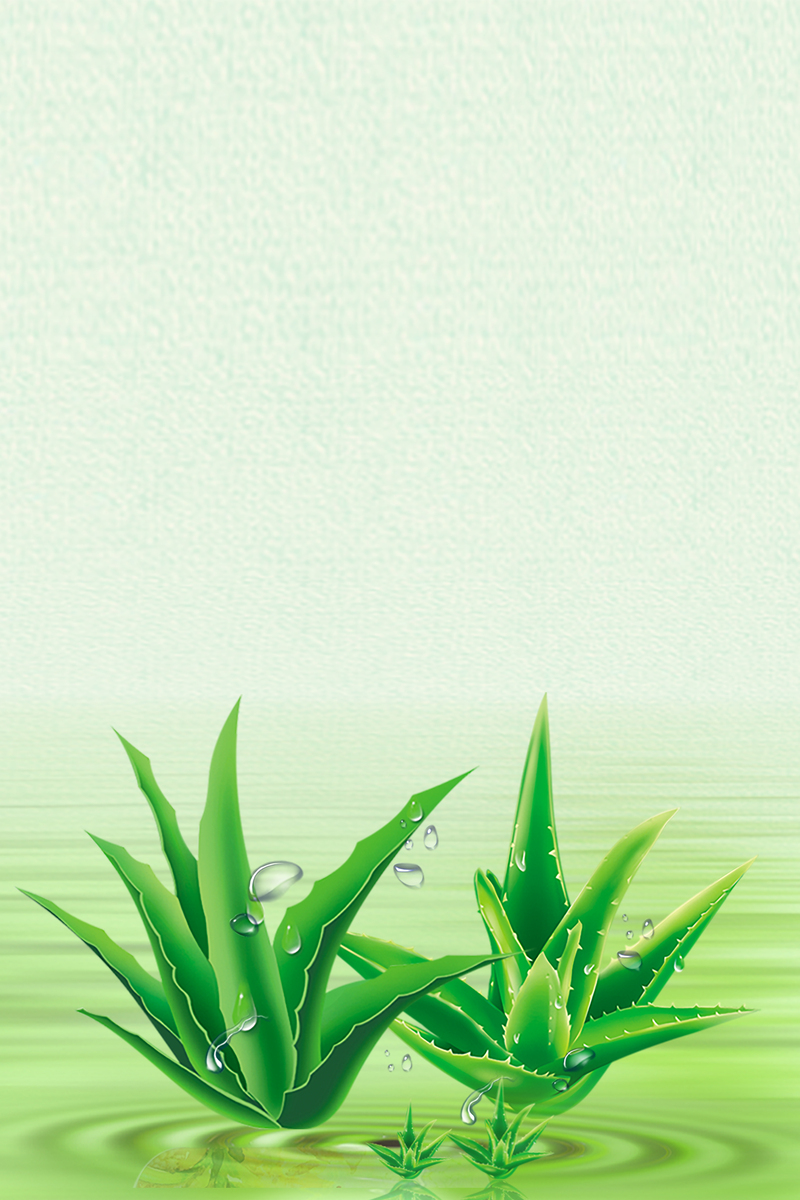 唯美清新绿色海报背景，高清JPG素材，另类创意设计任你选