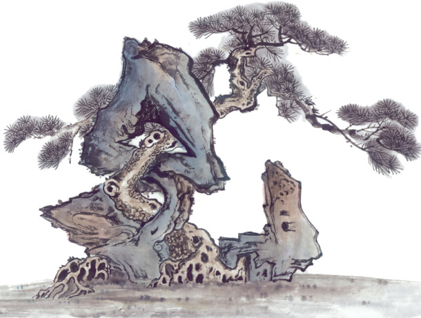 石头缝松树PNG透明图，高清装饰元素，植物设计素材下载