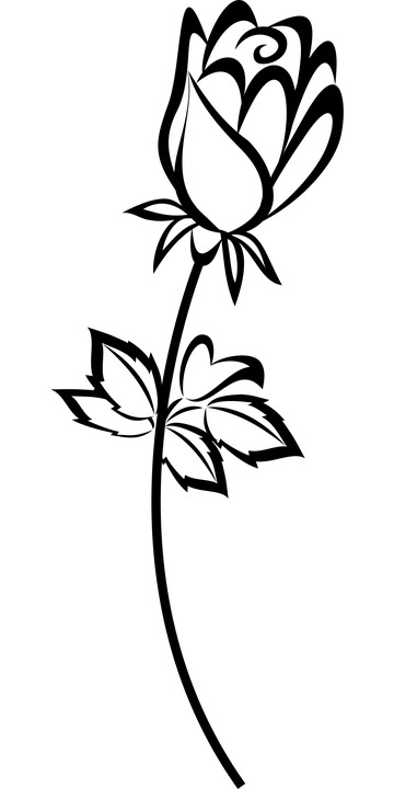 高清PNG透明花朵图标，简笔设计素材，免扣元素，一键下载