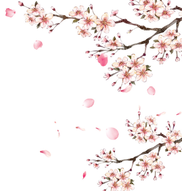 桃花PNG透明图片，高清漂浮花瓣设计素材下载
