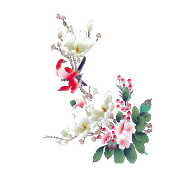 花卉元素PNG透明图，高清装饰素材，免费下载植物图片