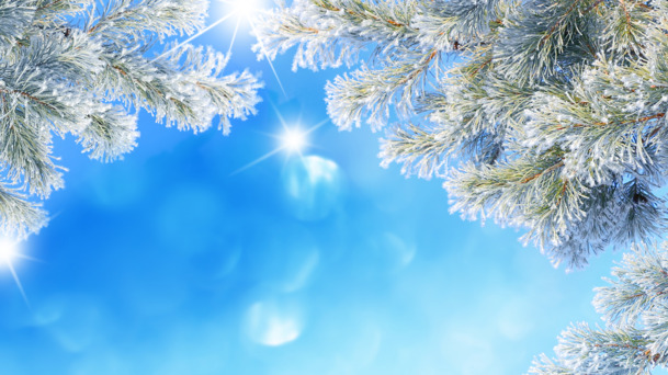冬季雪景PNG透明背景图，高清节日背景素材免费下载