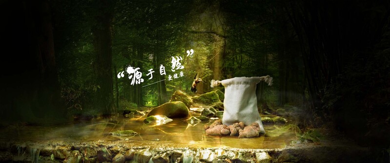 三七头Banner高清JPG，创意图片素材下载