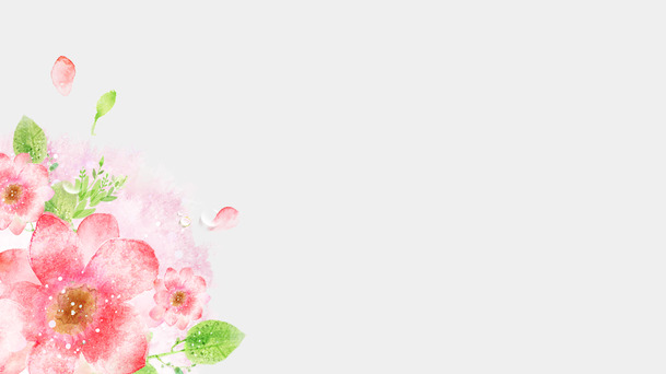 手绘花草文艺背景，清新PNG透明图，卡通手绘设计素材下载