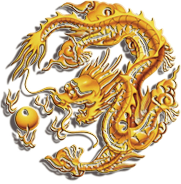 龙喜珠节日背景图案，高清PNG透明情人节设计素材下载