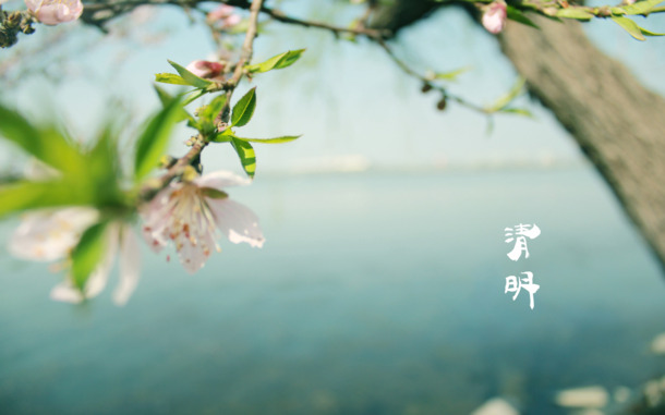 清明节海报设计，四月春光青团盛宴，24款高清PNG透明背景素材免费下载（PSD格式）