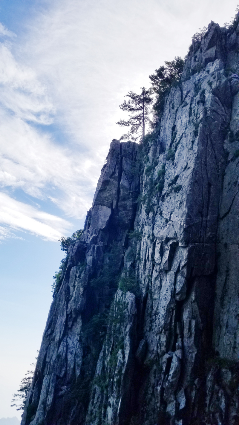 春日登山美景，绿树蓝天松树高清JPG/PSD摄影素材下载