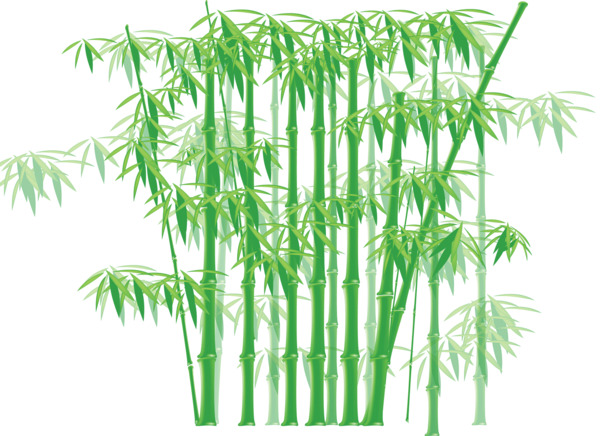 竹海高清PNG透明素材，植物装饰元素PSD格式，免费下载