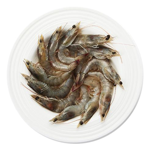 厄瓜多尔海鲜PNG透明图片，动植物元素动物设计素材高清下载