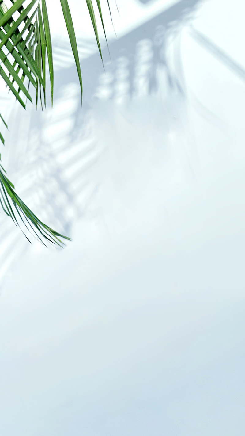 背景墙绿植高清JPG，文艺清新设计素材，一键下载！