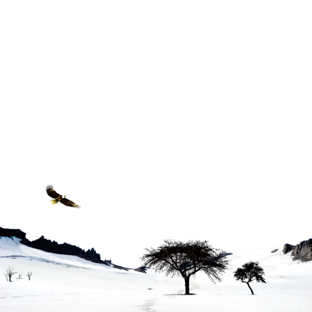 辽阔雪原透明PNG背景，高清摄影风景PSD素材免费下载