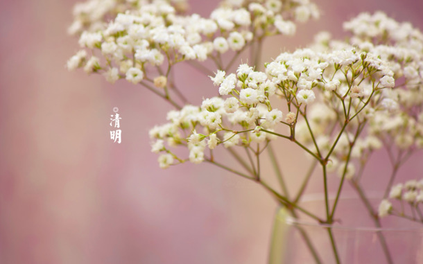 春之四月，清明时节青团海报背景，精选8款高清PNG透明图片素材，PSD格式设计元素免费下载