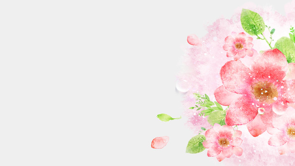 手绘清新花草背景PNG透明图，文艺卡通设计素材下载