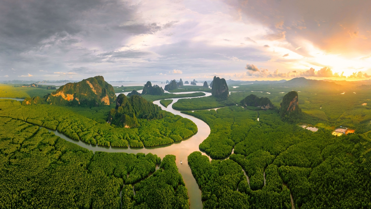 泰国攀牙湾红树林绝美风光，4K高清壁纸，安达曼海景色尽在眼前，3840x2160分辨率，免费下载