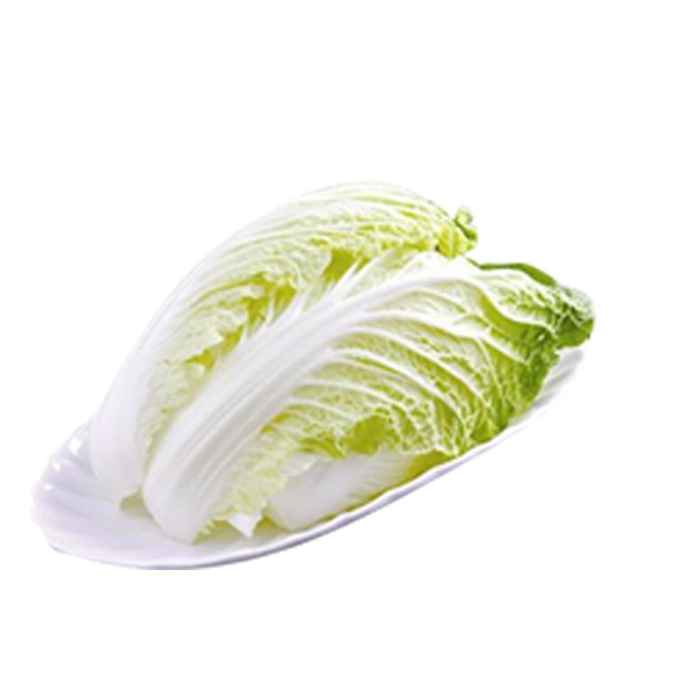 火锅配菜娃娃菜PNG透明图，免抠元素及设计素材下载