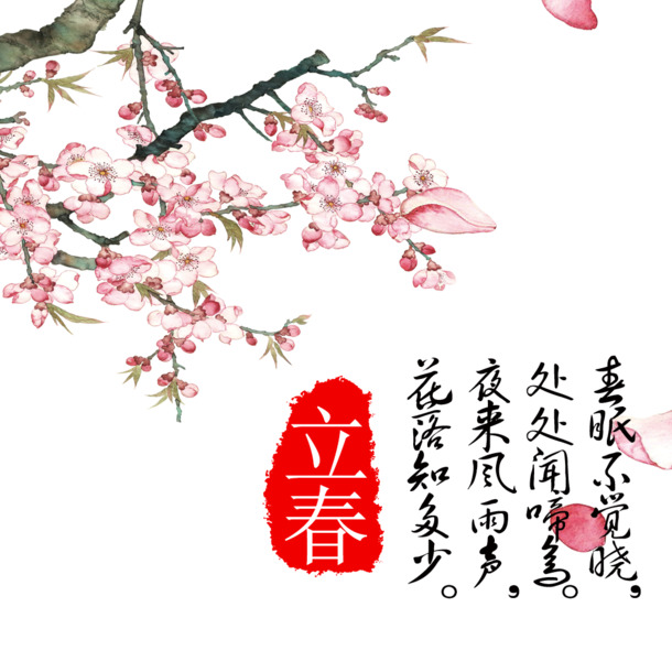 立春手绘花朵图案，高清PNG透明图片，卡通元素设计素材下载