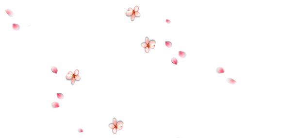 高清透明PNG梅花花瓣漂浮图片，设计素材下载