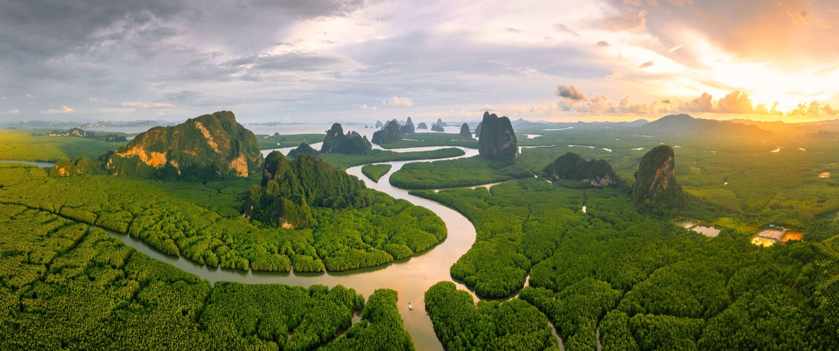 泰国攀牙湾红树林美景，安达曼海4K高清电脑壁纸，3440x1440分辨率，免费下载