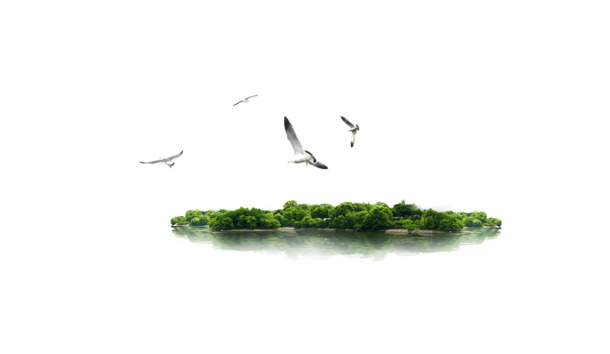 海边海鸟PNG透明背景图，高清摄影风景素材，免费下载