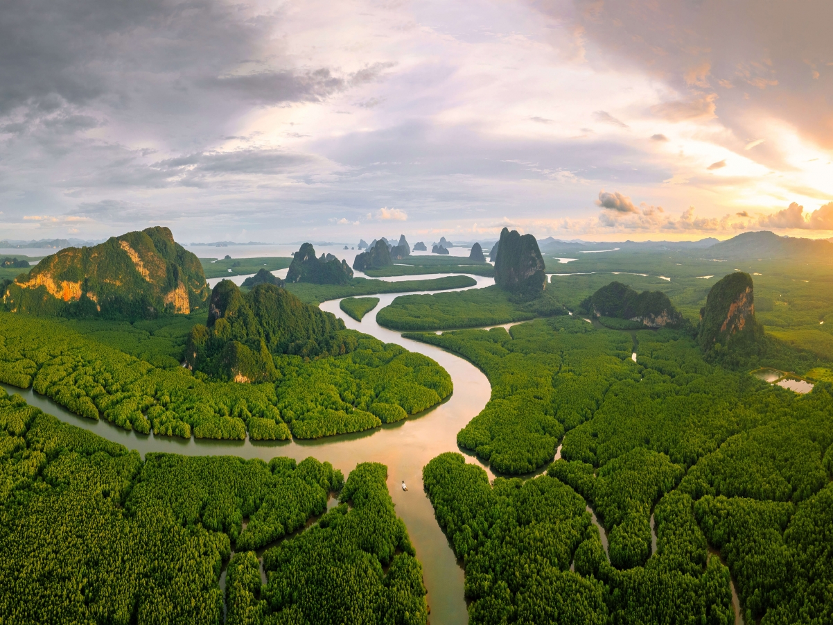 泰国攀牙湾红树林美景，安达曼海平板壁纸，高清2732x2048，免费下载