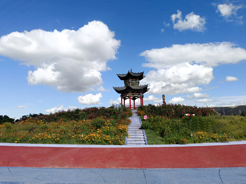 蓝天白云牡丹园摄影美图，高清JPG/风景PSD素材免费下载
