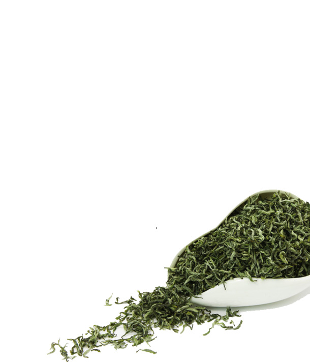 高清PNG透明植物装饰元素，实物拍摄图片设计素材免费下载