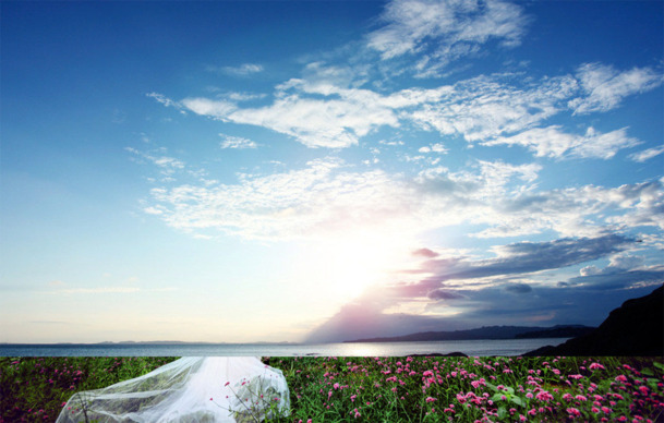 清新蓝天白云花海PNG透明背景，高清摄影风景素材下载