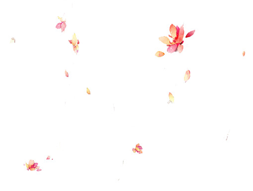 古风花瓣PNG透明素材，高清漂浮元素，设计下载必备