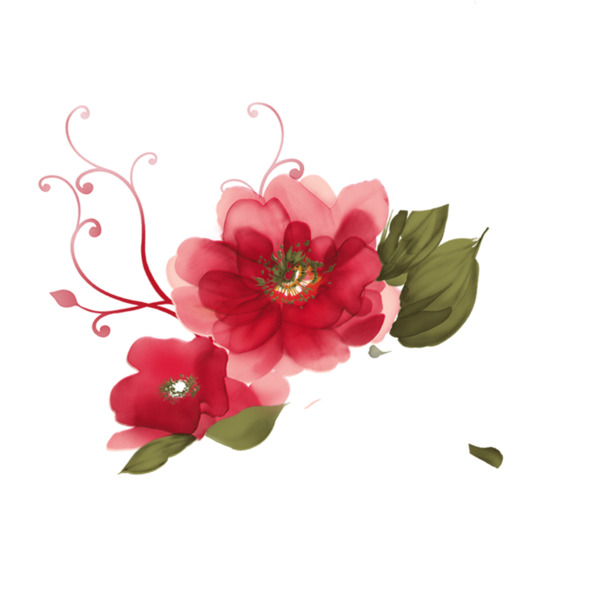 妇女节植物花卉PNG透明图，节日元素设计素材下载