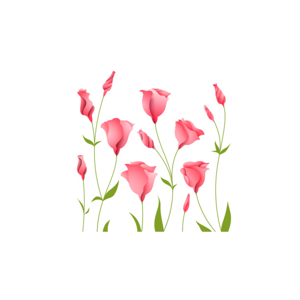 妇女节牵牛花PNG透明图，高清节日元素，设计素材免费下载
