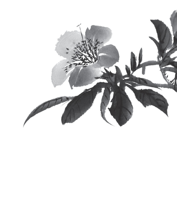 水墨花朵花枝PNG素材，高清透明装饰图片，笔触墨迹设计元素免费下载