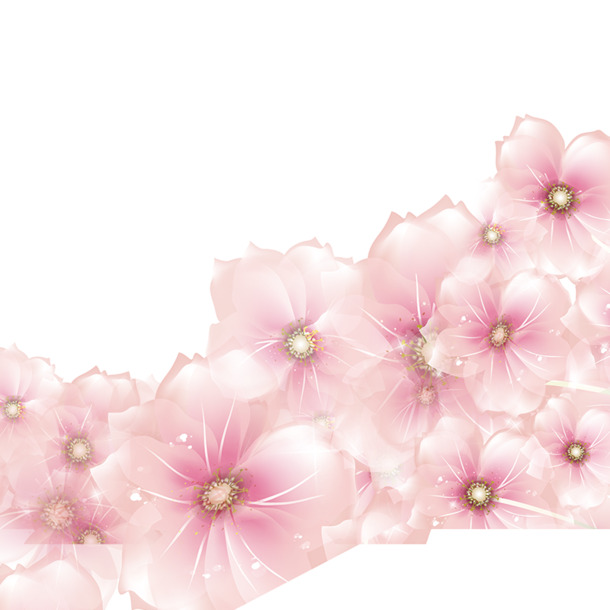 妇女节PNG素材，高清花卉透明图片，节日元素设计下载