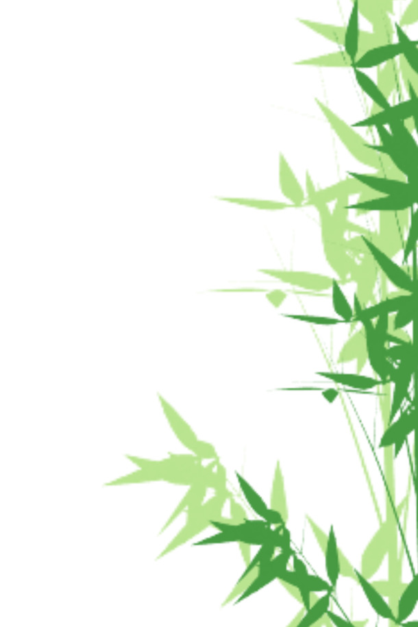 竹韵之美，高清PNG透明竹子图片，动植物元素设计素材下载