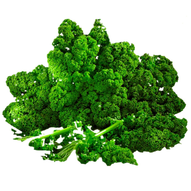羽衣甘蓝PNG透明图集，高清动植物元素，创意植物设计素材下载